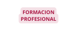 FORMACION PROFESIONAL